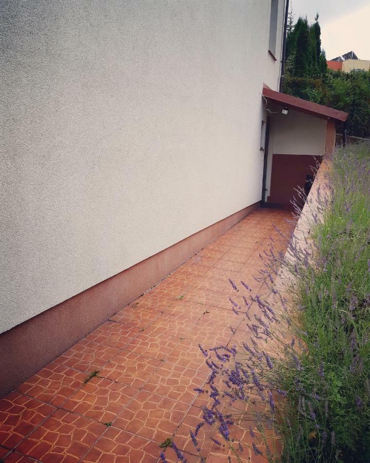 Apartament Studencki No 3 Appartamento Olsztyn  Esterno foto